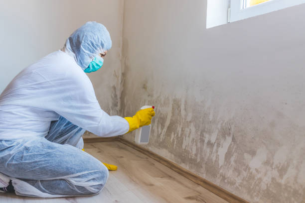 Best Mold Testing  in Okolona, MS